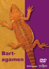 Bartagamen - die DVD