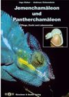 Jemencham&auml;leon Panthercham&auml;leon